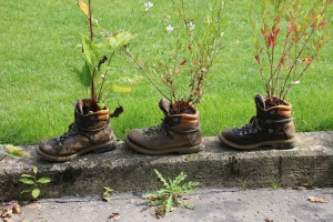 Blumentopf: Pflanzen in Schuhen
