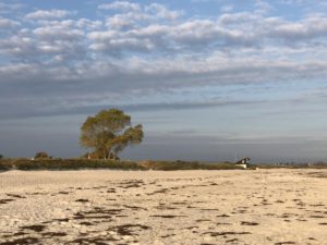 Sehlendorfer Strand