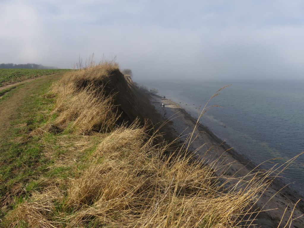 Steilküste Ostsee Dänisch-Nienhof