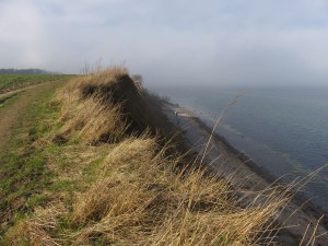 Steilküste Ostsee Dänisch-Nienhof