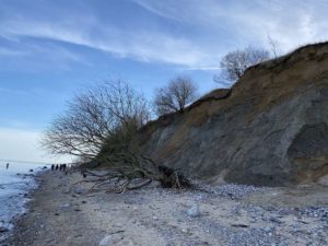 Ostsee Steilküste Dänisch-Nienhof