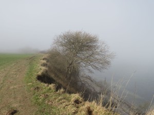 Steilküste Dänisch-Nienhof Nebel an der Ostsee