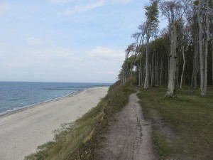 Steilküste Ostseebad Nienhagen Gespensterwald