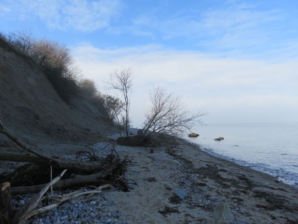 Steilküste Dänisch-Nienhof an der Ostsee in Schleswig-Holstein