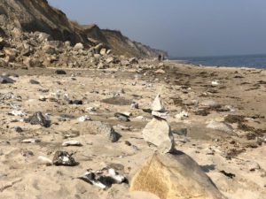 Steilküste Ostsee Stohl bei Kiel