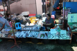 Frischer Fisch auf dem Markt in Surat Thani