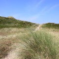 Dünen auf der Nordseeinsel Sylt