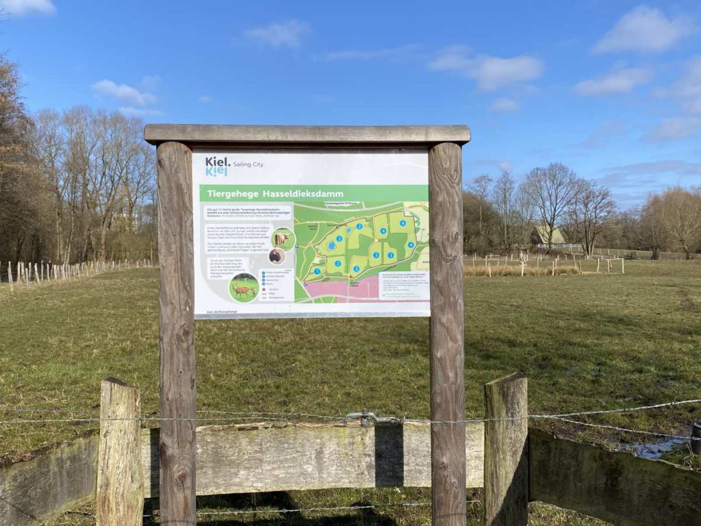 Tiergehege Hasseldieksdamm in Kiel
