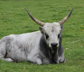 Tierpark Arche Warder bei Kiel