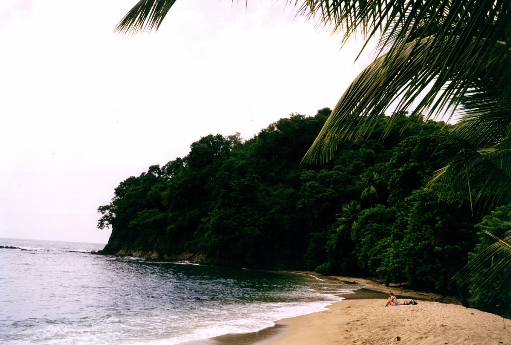 Feiner Sandstrand in einer kleinen Bucht auf Tobago