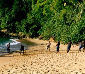 Fischer auf Tobago holen die Netze ein