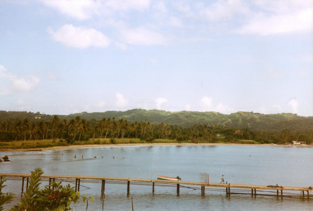 Bootssteg auf Tobago in der Karibik