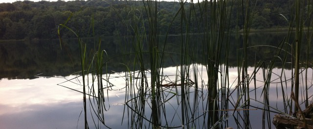 Am Ufer des Ukleisees