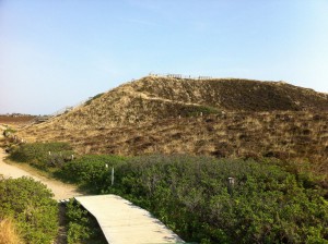Uwe Düne Sylt - höchste Erhebung der Nordseeinsel