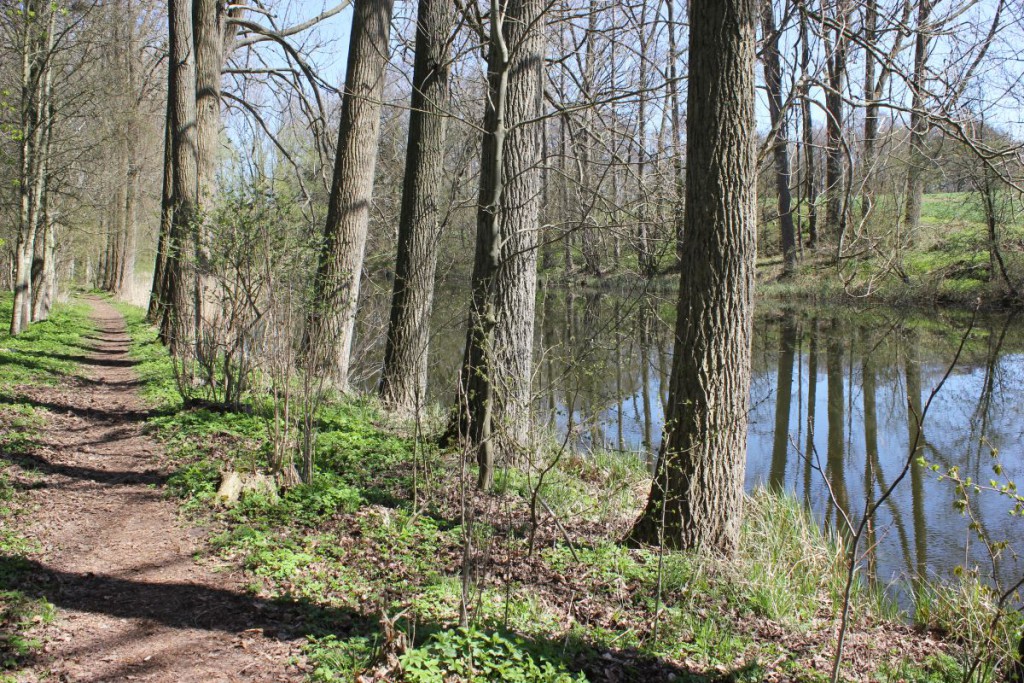 Waldweg am Eiderkanal zwischen Rathmannsdorf und Knoop