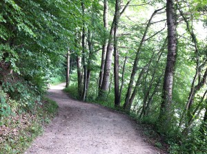 Rundwanderweg um den Ukleisee durch den Wald