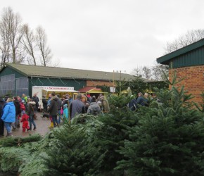 Weihnachtsmarkt Gut Augustenhof bei Kiel