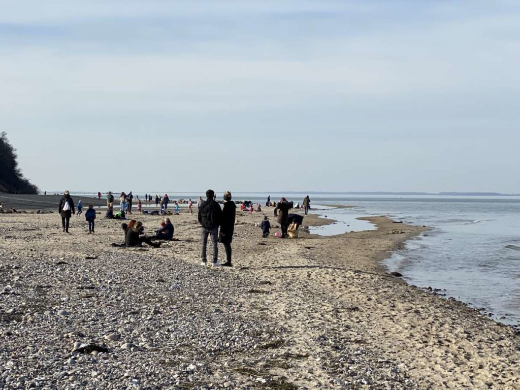 Ostsee Strand Dänisch-Nienhof 22.02.2021