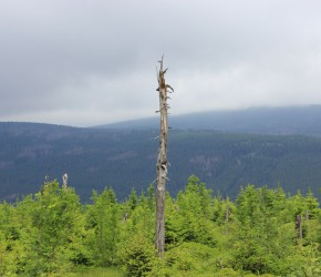 Wurmbergspitze mit Blick Ricktung Brocken